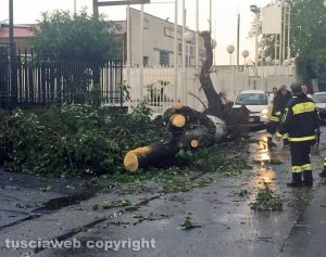 Tromba d'aria a Civita Castellana - Vigili del fuoco al lavoro