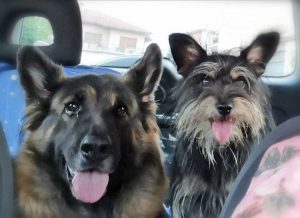 Clio e Lilly