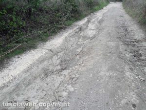 Strada di campagna della Commenda