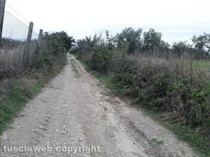 Strada di campagna della Commenda
