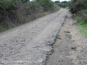 Strada di campagna della Commenda