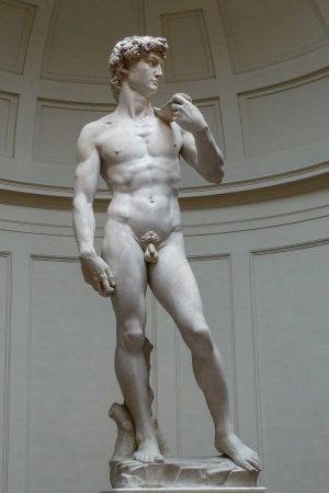 Il David di Michelngelo