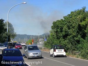 Orte - Incendio vicino alla ferrovia