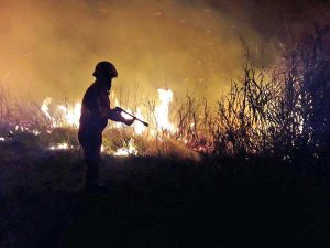 Vigili del fuoco in azione