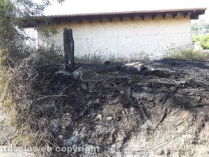 Montefiascone - Gli incendi in via Carpine 