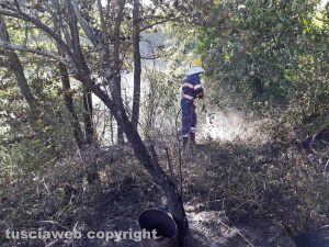 Incendio - L'intervento dell'Asvom