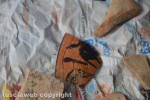 Gravisca, particolare di un reperto