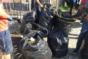 Tarquinia - I rifiuti raccolti