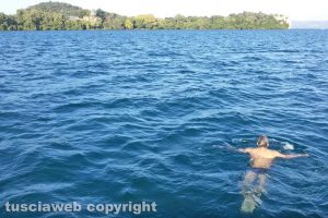Capodimonte - Il pittore Michael Franke nuota fino all'isola Bisentina