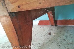 Graffignano - Sporcizia nella stazione di Sipicciano