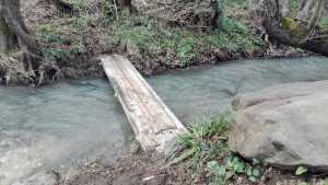 Torrente a Corviano