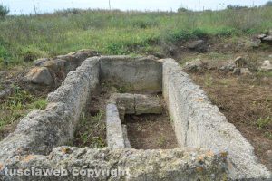 Gravisca, un particolare dell'area dedicata ad Adone