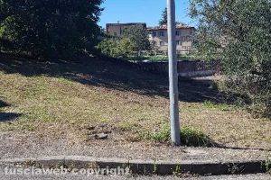 Viterbo - Tombino aperto in via Cima