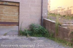Viterbo - Erbacce e incuria in via Sant'Agostino e via Santa Rita