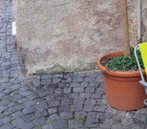 Viterbo - I rifiuti rimossi