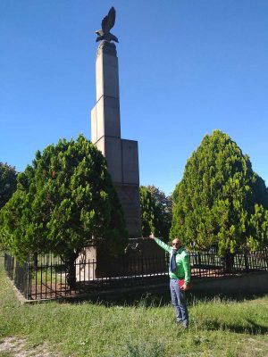 Viterbo - Interventi al verde pubblico
