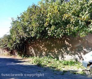 Viterbo - La zona della strada Capretta viene ripulita