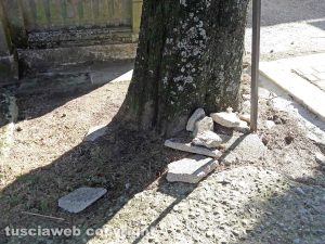 Montefiascone - Il cimitero