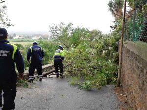 Tarquinia - Albero caduto in via della Tuscia - L'intervento dell'Aeopc