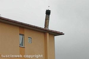 Barbarano Romano - Un comignolo pericolante