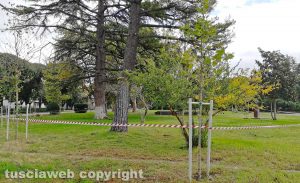 Alberi transennati a Pratogiardino