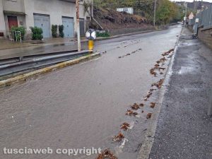 Montefiascone - Via Giuseppe Contadini allagata diìopo il temporale 