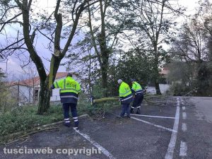 Maltempo - Montefiascone - L'intervento dell'Asvom