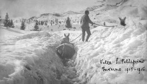 Un'immagine della Grande guerra