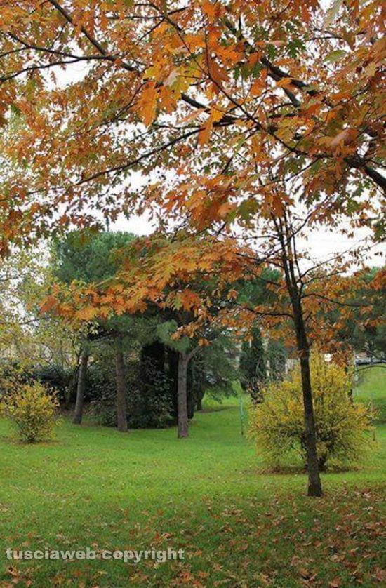 Un giardino in zona la Quercia