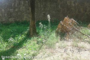 Montefiascone - Disagi nella scuola Golfarelli