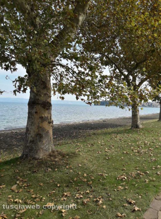 Capodimonte