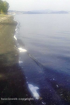 Montefiascone - Schiuma nel lago di Bolsena