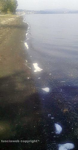 Montefiascone - Schiuma nel lago di Bolsena