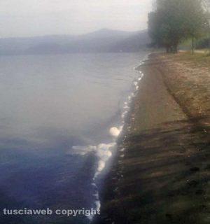 Montefiascone - Schiuma nel lago di Bolsena