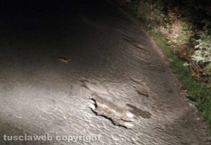 Civita Castellana - Buche sulla SP77