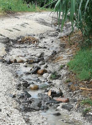 Viterbo - Degrado su strada Fagianello