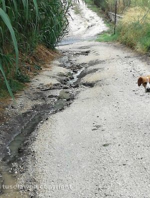 Viterbo - Degrado su strada Fagianello