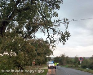 Bolsena - Ramo pericolante sulla Cassia - La protezione civile in azione