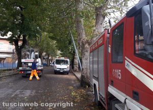 Viterbo - L'albero caduto sulla Teverina - Vigili del fuoco al lavoro