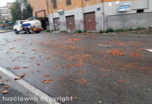 Viterbo - Le tegole precipitate in via Vico Squarano