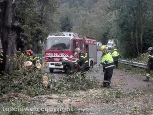 Albero caduto sulla Cassia Sud - Vigili del fuoco e protezione civile in azione