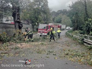 Albero caduto sulla Cassia Sud - Vigili del fuoco e protezione civile in azione