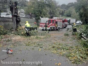 Albero caduto sulla Cassia Sud - Vigili del fuoco e protezione civile in azione