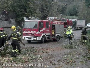 Albero caduto sulla Cassia Sud - Vigili del fuoco e protezione civile in azione