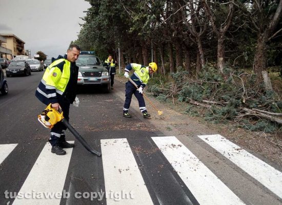 Viterbo - Via Garbini - Rami caduti - Protezione civile in azione