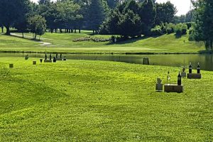 Sport - Golf - La SunGolf cup