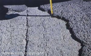 Strada Ortana - Buche al centimetro a corredo della petizione