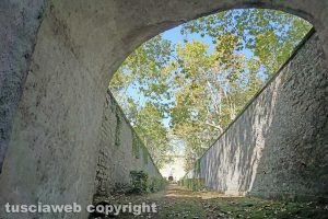Viterbo - Viale Trieste