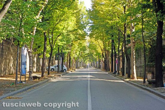 Viterbo - Viale Trieste