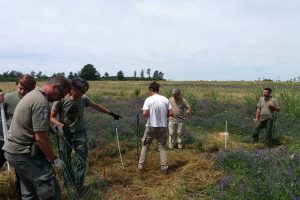 Ambiente - Il progetto europeo "Choose nature"